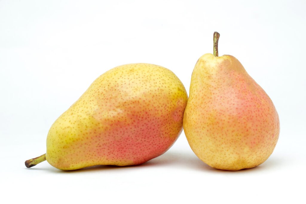 juicy pears on a white background